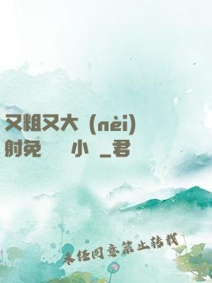 又粗又大內(nèi)射免費視頻小說
