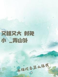 又粗又大內射免費視頻小說