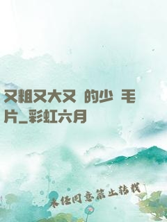 又粗又大又黃的少婦毛片