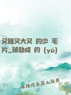 又粗又大又黃的少婦毛片