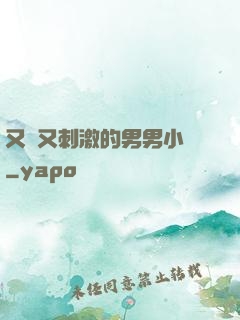又黃又刺激的男男小說