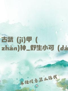 古武機(jī)甲戰(zhàn)神