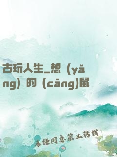 古玩人生