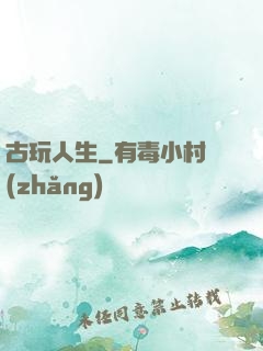 古玩人生