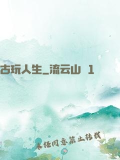 古玩人生