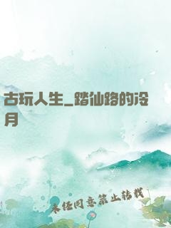 古玩人生