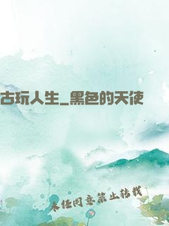 古玩人生