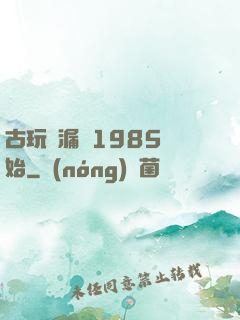 古玩撿漏從1985開始