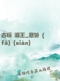 古玩撿漏王