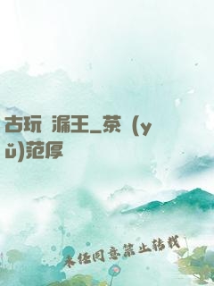 古玩撿漏王