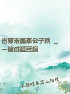 古穿未墨家公子秋廡