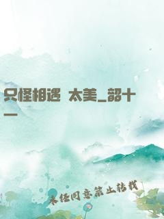 只怪相遇時太美