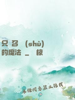 只會召喚術(shù)的魔法師