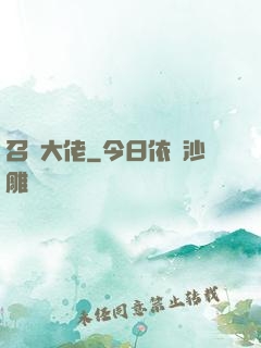 召喚大佬