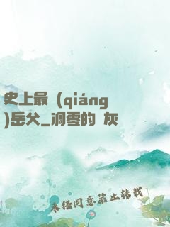 史上最強(qiáng)岳父