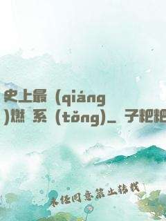 史上最強(qiáng)燃燒系統(tǒng)