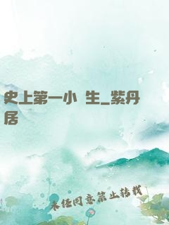 史上第一小學生