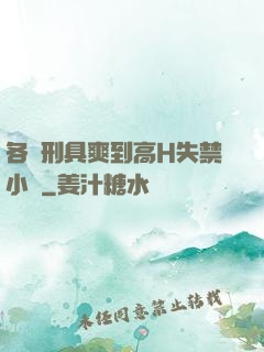 各種刑具爽到高H失禁小說