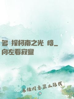 名偵探柯南之光與暗