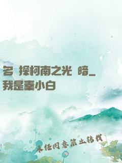 名偵探柯南之光與暗