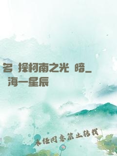 名偵探柯南之光與暗