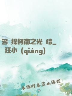 名偵探柯南之光與暗