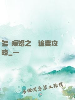 名門暖婚之權爺追妻攻略