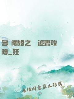 名門暖婚之權爺追妻攻略