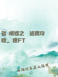 名門暖婚之權爺追妻攻略