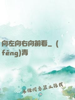 向左向右向前看