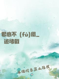 君心不負(fù)凰