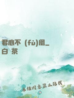 君心不負(fù)凰