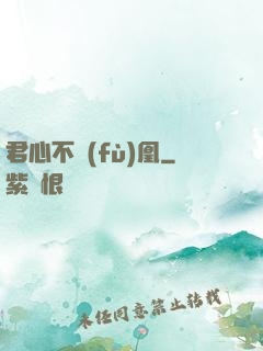 君心不負(fù)凰