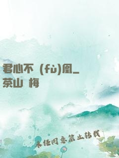 君心不負(fù)凰