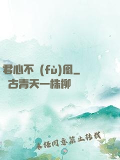 君心不負(fù)凰