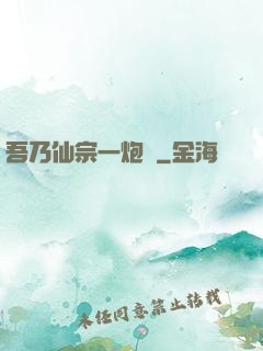 吾乃仙宗一炮臺