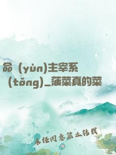 命運(yùn)主宰系統(tǒng)