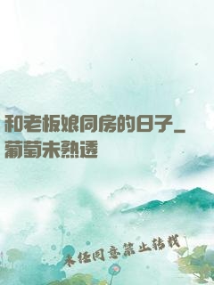 和老板娘同房的日子