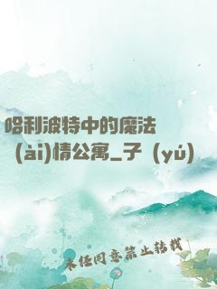 哈利波特中的魔法師與愛(ài)情公寓