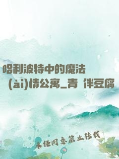 哈利波特中的魔法師與愛(ài)情公寓
