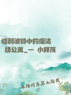 哈利波特中的魔法師與愛情公寓