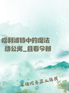 哈利波特中的魔法師與愛情公寓