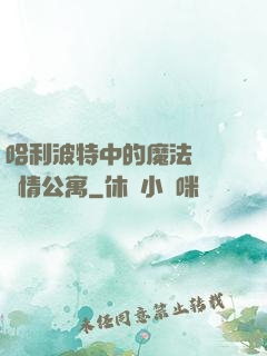 哈利波特中的魔法師與愛情公寓