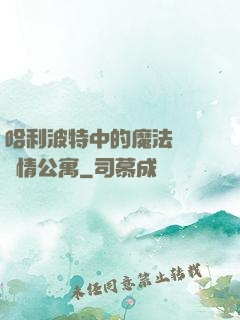 哈利波特中的魔法師與愛情公寓