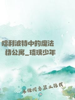 哈利波特中的魔法師與愛情公寓