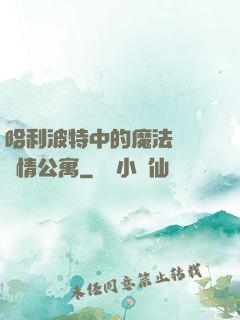 哈利波特中的魔法師與愛情公寓