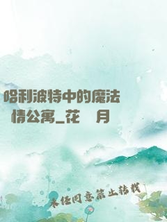 哈利波特中的魔法師與愛情公寓