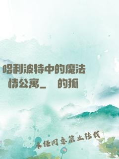 哈利波特中的魔法師與愛情公寓