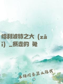 哈利波特之大災(zāi)難