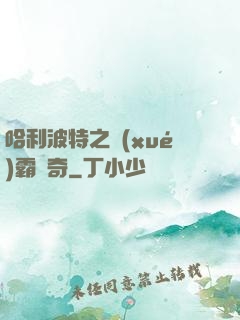 哈利波特之學(xué)霸傳奇